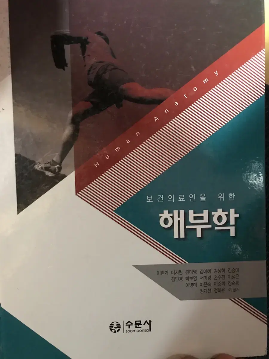 해부학 교재팝니다